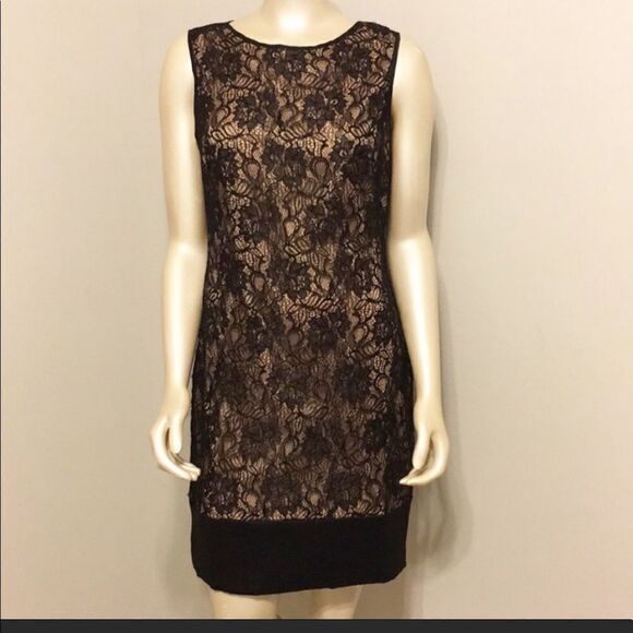 Cache lace dress  - Picture 1 of 11